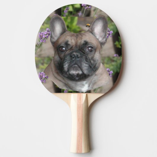 Französische Bulldogge mit Biene French Bulldog 卓球ラケット (正面)