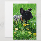 Französische Bulldogge mit Blumen French Bulldog 便箋 (正面/裏面)