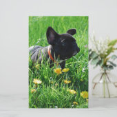 Französische Bulldogge mit Blumen French Bulldog 便箋 (スタンド正面)