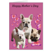 Französische Bulldogge Muttertag French Bulldog (正面)