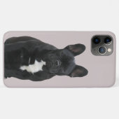 Französische Bulldogge Niedlich French Bulldog Case-Mate iPhoneケース (裏面(横))