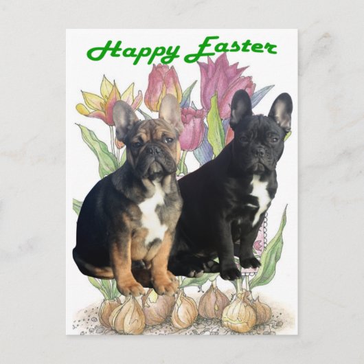 Französische Bulldogge  Ostern French Bulldog ポストカード (正面)