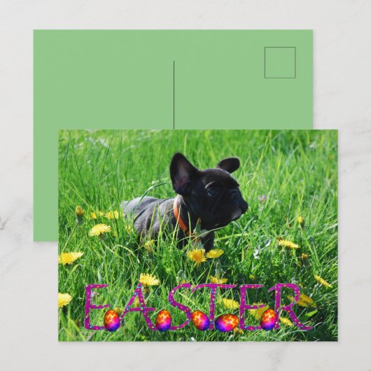 französische Bulldogge Ostern French Bulldog ポストカード (正面/裏面)