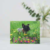 französische Bulldogge Ostern French Bulldog ポストカード (スタンド正面)