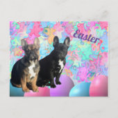 französische Bulldogge Ostern French Bulldog ポストカード (正面)