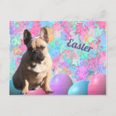 französische Bulldogge Ostern French Bulldog ポストカード (正面)