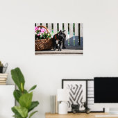 Französische Bulldogge Poster ポスター (ホームオフィス)