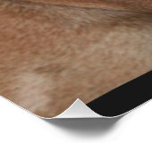 Französische Bulldogge Poster ポスター (コーナー)