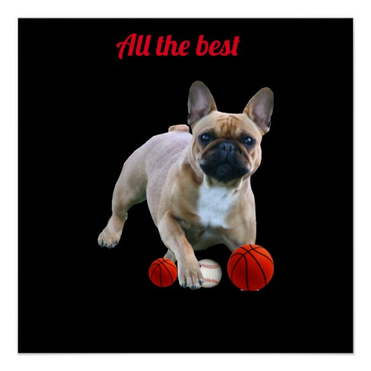 Französische Bulldogge Poster ポスター (正面)