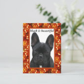 Französische Bulldogge Postkarte ポストカード (スタンド正面)