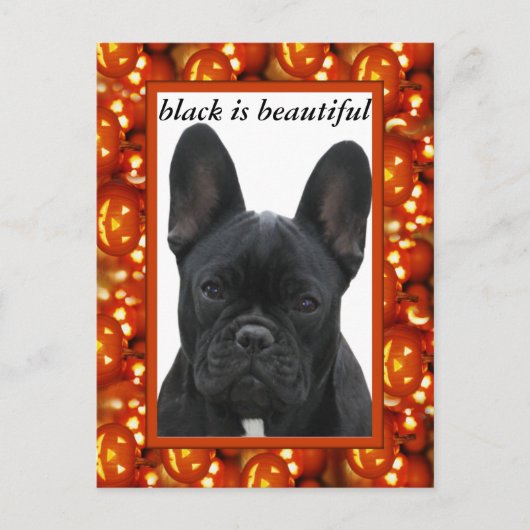 Französische Bulldogge Postkarte ポストカード (正面)