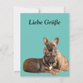 Französische Bulldogge Postkarte 招待状 (正面)