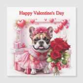 Französische Bulldogge Rosen French Bulldog (正面)