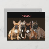 Französische Bulldogge Rudel French Bulldog ポストカード (正面/裏面)