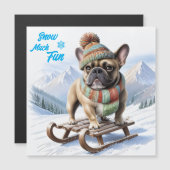 Französische Bulldogge Schlitten  French Bulldog (正面/裏面)