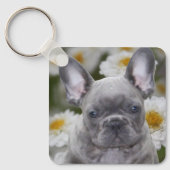 Französische Bulldogge Schlüsselanhänger キーホルダー (正面)
