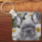 Französische Bulldogge Schlüsselanhänger キーホルダー (正面)