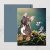 Französische Bulldogge Schmetterling French Bulldo ポストカード (正面/裏面)