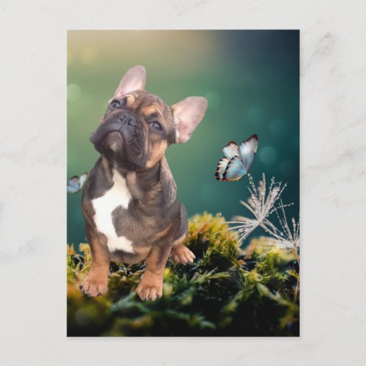 Französische Bulldogge Schmetterling French Bulldo ポストカード (正面)
