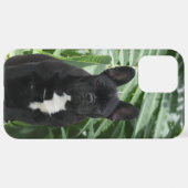 Französische Bulldogge schwarz French Bulldog iPhoneケース (裏面横)