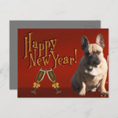  französische Bulldogge Sekt French Bulldog ポストカード (正面/裏面)