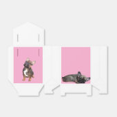 Französische Bulldogge Sterne French Bulldog フェイバーボックス (折り畳みなし)