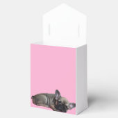 Französische Bulldogge Sterne French Bulldog フェイバーボックス (オープン)