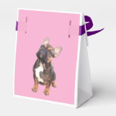 Französische Bulldogge Sterne French Bulldog フェイバーボックス (裏面サイド)