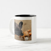 Französische Bulldogge Strand French Bulldog ツートーンマグカップ (正面左)