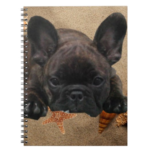 Französische Bulldogge Strand French Bulldog ノートブック (正面)