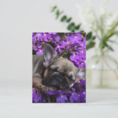 Französische Bulldogge süßer Welpe French Bulldog ポストカード (スタンド正面)