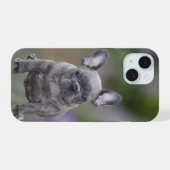 Französische Bulldogge süßer Welpe French Bulldog iPhone 15ケース (裏面横)