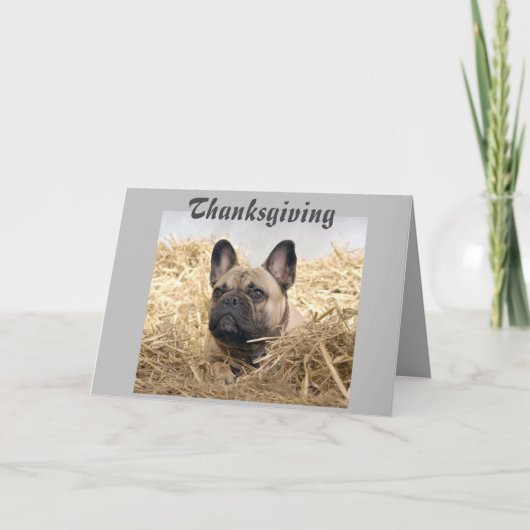 Französische Bulldogge Thanksgiving French Bulldog 招待状 (正面)