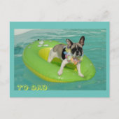 Französische Bulldogge Urlaub French Bulldog ポストカード (正面)