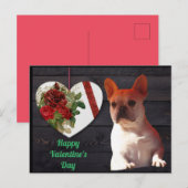 Französische Bulldogge Valentinstag French Bulldog ポストカード (正面/裏面)