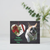Französische Bulldogge Valentinstag French Bulldog ポストカード (スタンド正面)