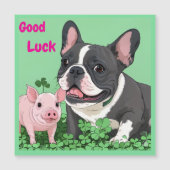 Französische Bulldogge viel Glück French Bulldog (正面)