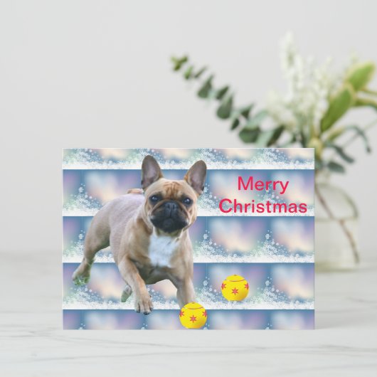 Französische Bulldogge Weihnachten French Bulldog セーブザデート (スタンド正面)