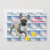 Französische Bulldogge Weihnachten French Bulldog セーブザデート (正面)