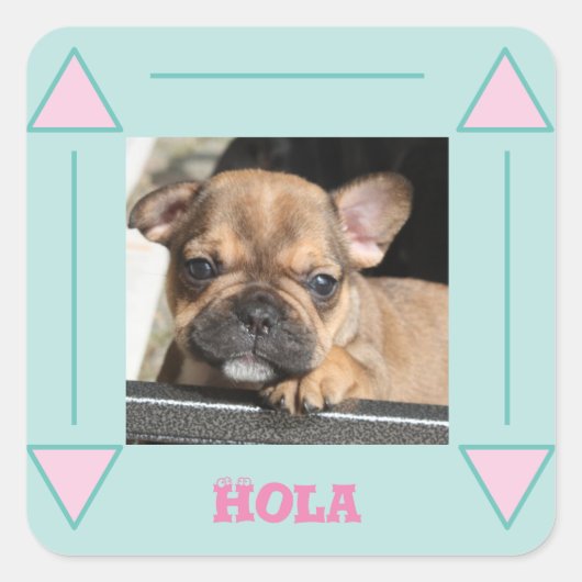 Französische Bulldogge Welpe French Bulldog スクエアシール (正面)