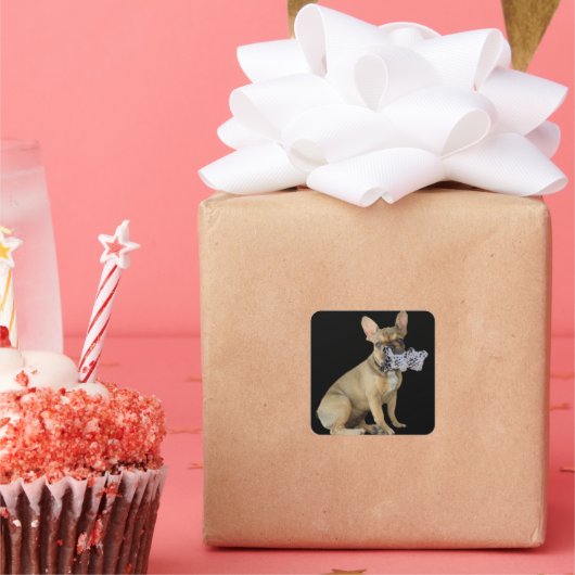 Französische Bulldogge Welpe French Bulldog スクエアシール (パーティー)