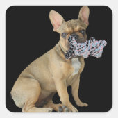 Französische Bulldogge Welpe French Bulldog スクエアシール (正面)