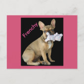 Französische Bulldogge Welpe French Bulldog ポストカード (正面)