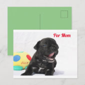 Französische Bulldogge Welpe French Bulldog ポストカード (正面/裏面)