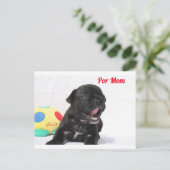 Französische Bulldogge Welpe French Bulldog ポストカード (スタンド正面)