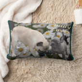 Französische Bulldogge Welpe French Bulldog ランバークッション (ブランケット)