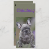 Französische Bulldogge Welpe French Bulldog 招待状 (正面/裏面)