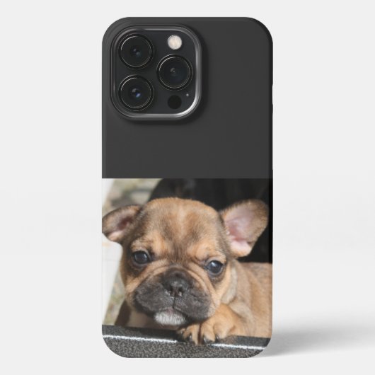 Französische Bulldogge Welpe French Bulldog iPhoneケース (裏面)