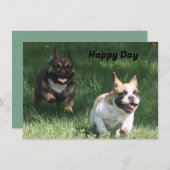 Französische Bulldogge Wettrennen French Bulldog (正面/裏面)