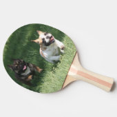 Französische Bulldogge Wettrennen French Bulldog 卓球ラケット (横)